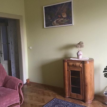 Historical Center Apartment Ужгород Екстериор снимка